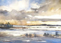 Winter Marsh by Maureen K Brookfield